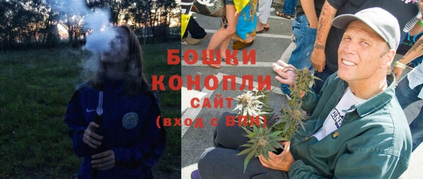 гидропоника Бородино